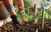 Organic Mix – готовые решения для вашего сада